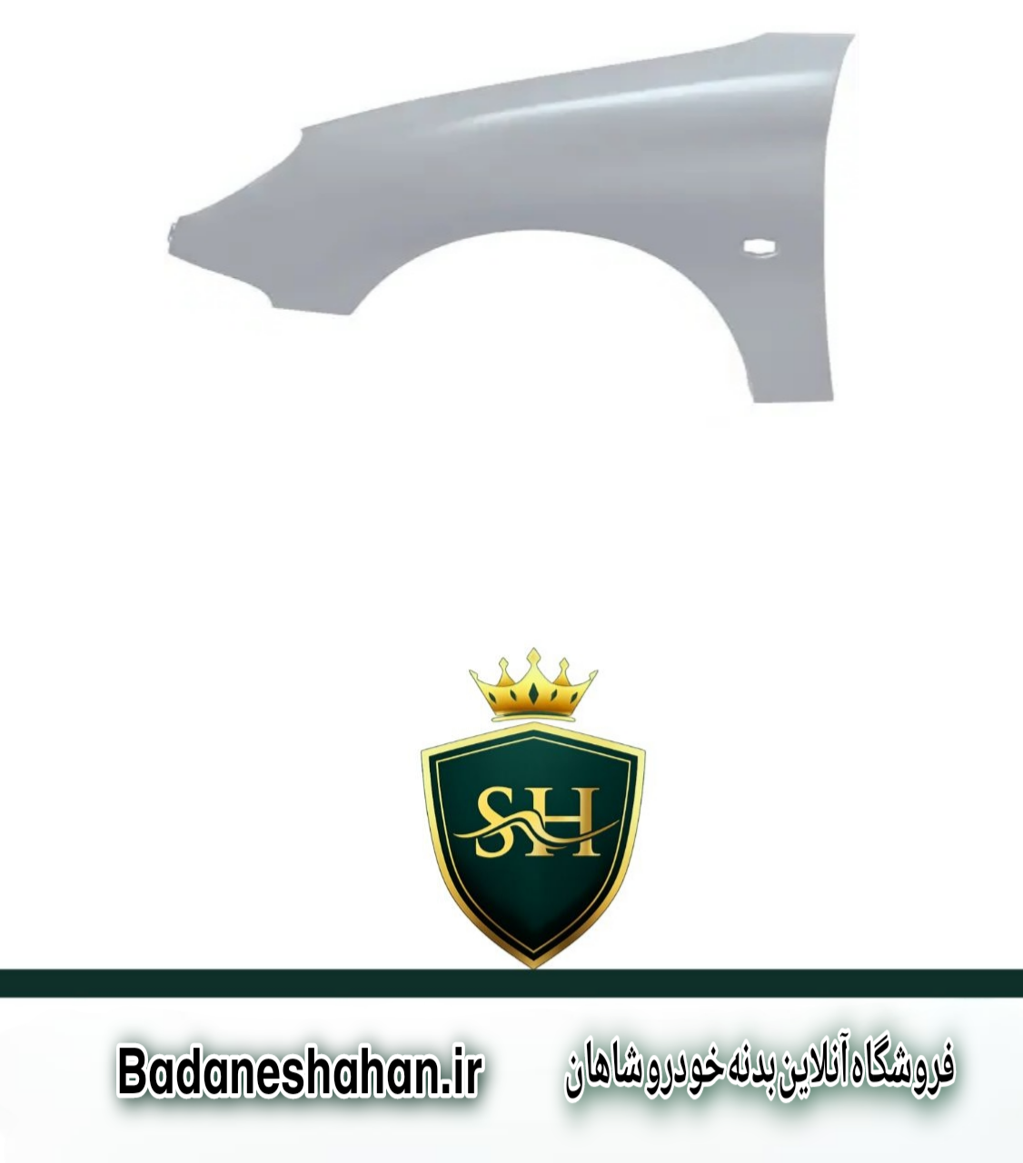 گلگیر جلو 206